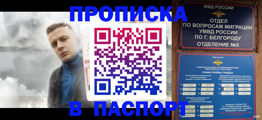 временная регистрация в Кольчугино